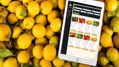 بهترین سایت خرید آنلاین میوه