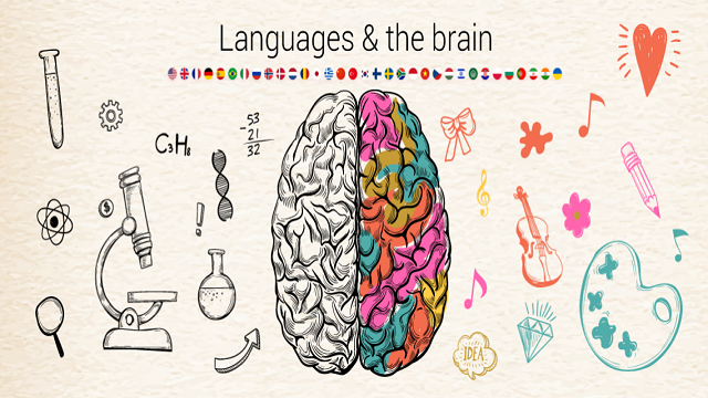 فواید یادگیری زبان چینی برای مغز
